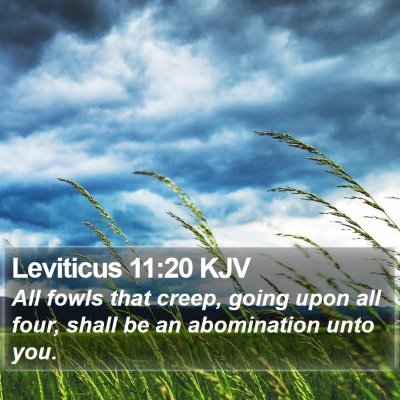 Leviticus 11:20 KJV Bible Verse Image