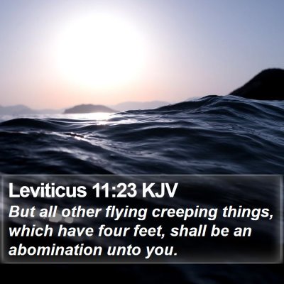 Leviticus 11:23 KJV Bible Verse Image