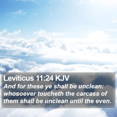Leviticus 11:24 KJV Bible Verse Image