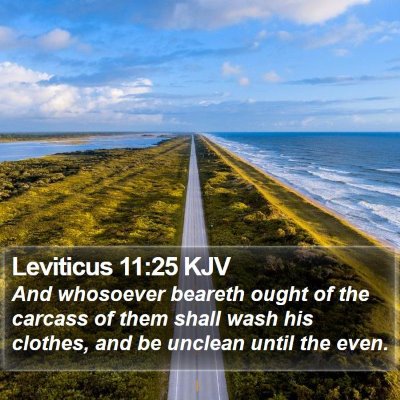 Leviticus 11:25 KJV Bible Verse Image