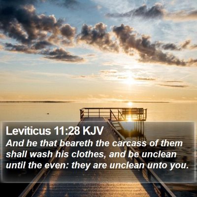 Leviticus 11:28 KJV Bible Verse Image