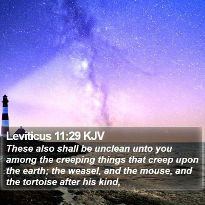 Leviticus 11:29 KJV Bible Verse Image