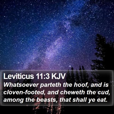 Leviticus 11:3 KJV Bible Verse Image