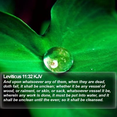 Leviticus 11:32 KJV Bible Verse Image