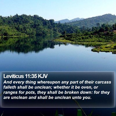 Leviticus 11:35 KJV Bible Verse Image