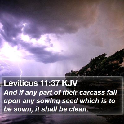 Leviticus 11:37 KJV Bible Verse Image