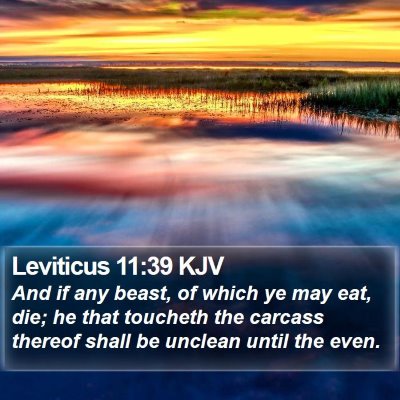 Leviticus 11:39 KJV Bible Verse Image