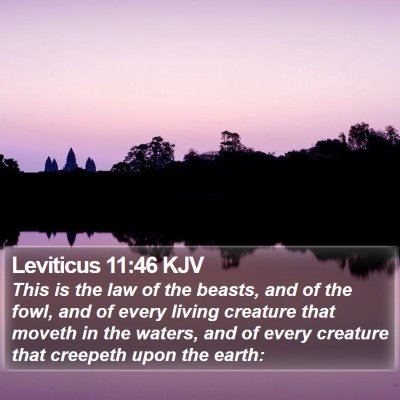 Leviticus 11:46 KJV Bible Verse Image