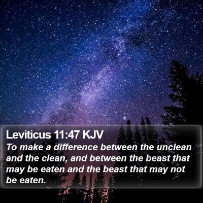 Leviticus 11:47 KJV Bible Verse Image