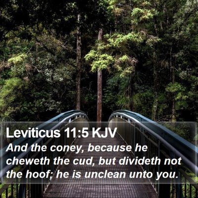 Leviticus 11:5 KJV Bible Verse Image