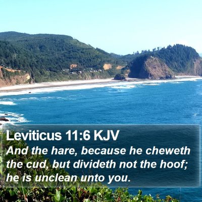 Leviticus 11:6 KJV Bible Verse Image