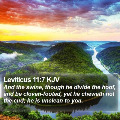 Leviticus 11:7 KJV Bible Verse Image