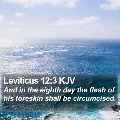 Leviticus 12:3 KJV Bible Verse Image