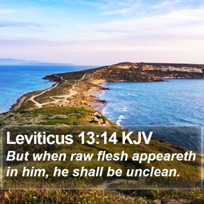Leviticus 13:14 KJV Bible Verse Image