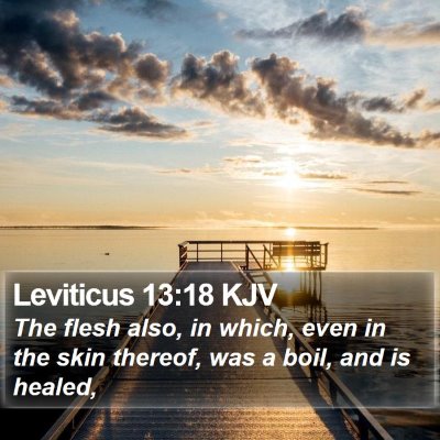 Leviticus 13:18 KJV Bible Verse Image