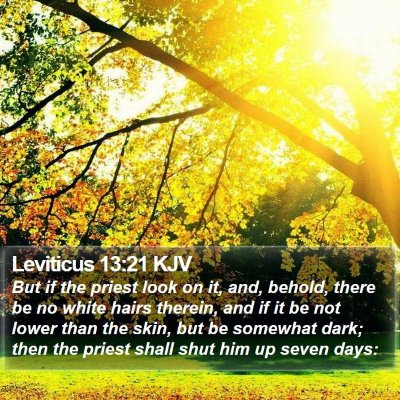 Leviticus 13:21 KJV Bible Verse Image
