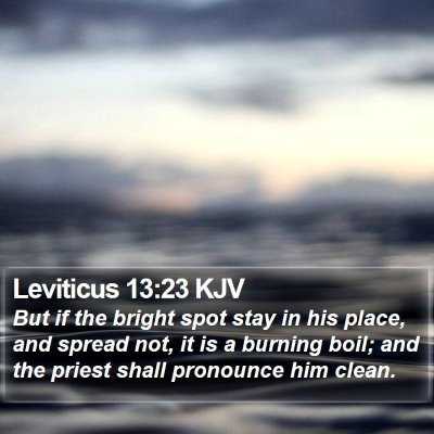 Leviticus 13:23 KJV Bible Verse Image