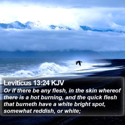 Leviticus 13:24 KJV Bible Verse Image