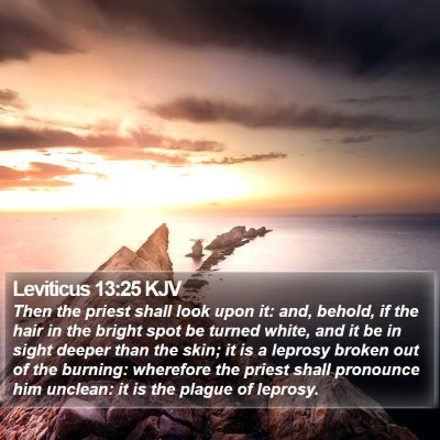 Leviticus 13:25 KJV Bible Verse Image