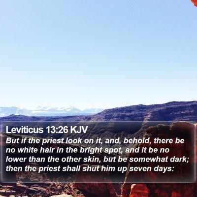Leviticus 13:26 KJV Bible Verse Image