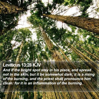 Leviticus 13:28 KJV Bible Verse Image