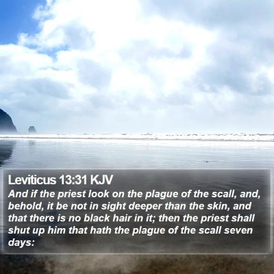 Leviticus 13:31 KJV Bible Verse Image