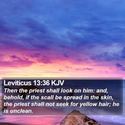 Leviticus 13:36 KJV Bible Verse Image