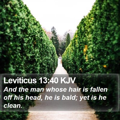 Leviticus 13:40 KJV Bible Verse Image