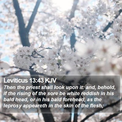 Leviticus 13:43 KJV Bible Verse Image