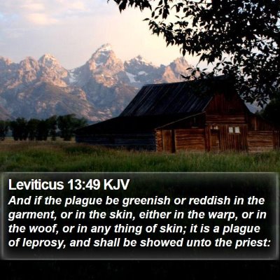 Leviticus 13:49 KJV Bible Verse Image