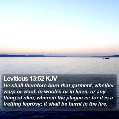 Leviticus 13:52 KJV Bible Verse Image