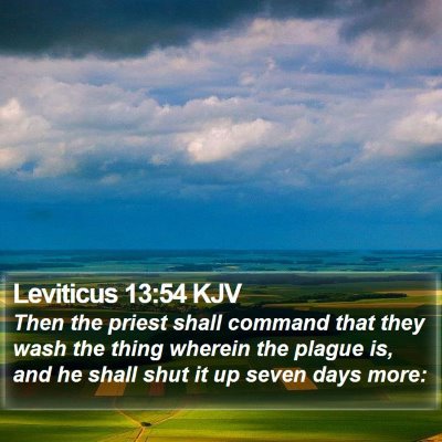 Leviticus 13:54 KJV Bible Verse Image