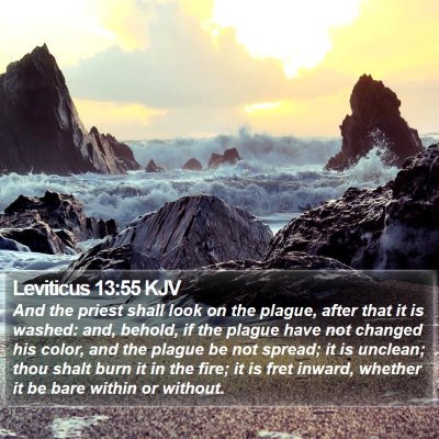 Leviticus 13:55 KJV Bible Verse Image