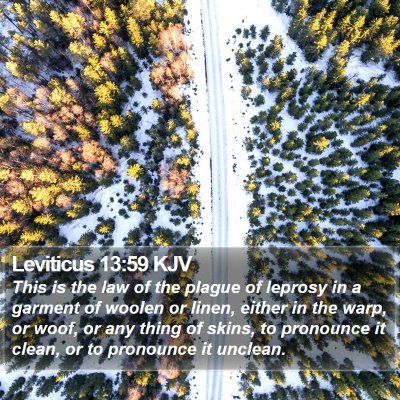 Leviticus 13:59 KJV Bible Verse Image