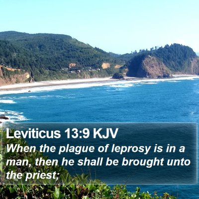 Leviticus 13:9 KJV Bible Verse Image