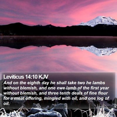 Leviticus 14:10 KJV Bible Verse Image