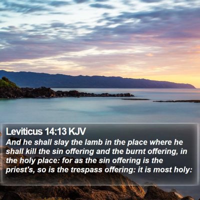 Leviticus 14:13 KJV Bible Verse Image