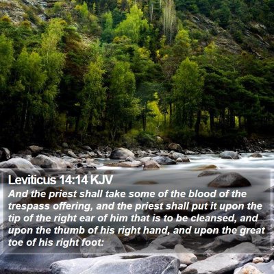 Leviticus 14:14 KJV Bible Verse Image