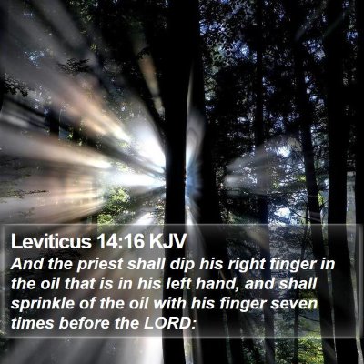 Leviticus 14:16 KJV Bible Verse Image