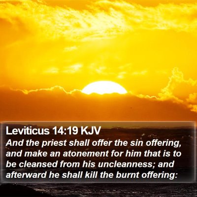 Leviticus 14:19 KJV Bible Verse Image