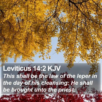 Leviticus 14:2 KJV Bible Verse Image