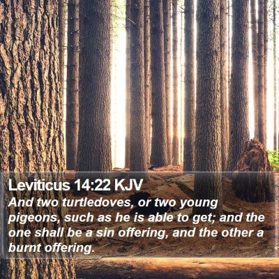 Leviticus 14:22 KJV Bible Verse Image