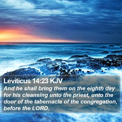 Leviticus 14:23 KJV Bible Verse Image