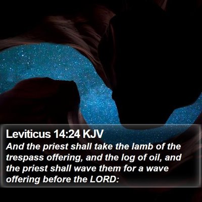 Leviticus 14:24 KJV Bible Verse Image