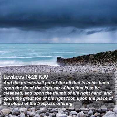 Leviticus 14:28 KJV Bible Verse Image