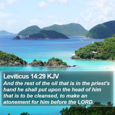 Leviticus 14:29 KJV Bible Verse Image