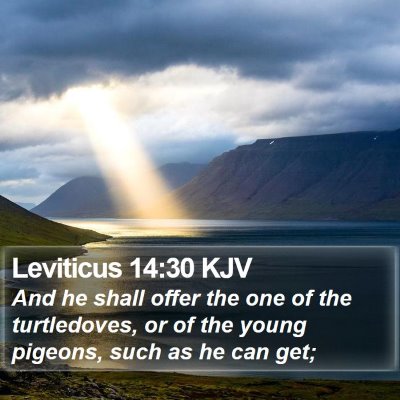 Leviticus 14:30 KJV Bible Verse Image