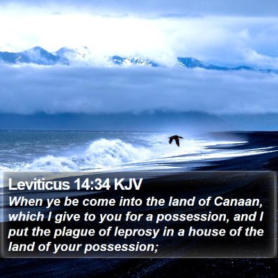 Leviticus 14:34 KJV Bible Verse Image