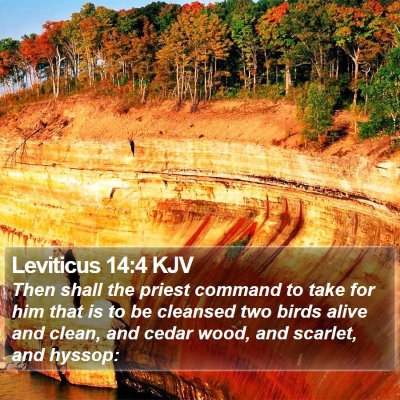 Leviticus 14:4 KJV Bible Verse Image