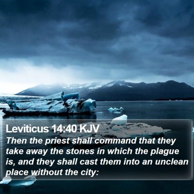 Leviticus 14:40 KJV Bible Verse Image